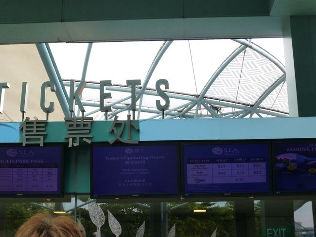 水族館に到着＆入場します。