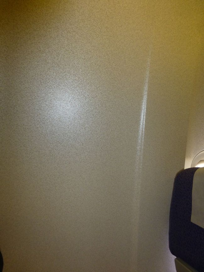 よくよく見ると、窓が無い！<br /><br />国際線で初めて窓無し席に当たってしまいました・・・<br /><br />ほぼ満席なので、残念ながら移動もできません。