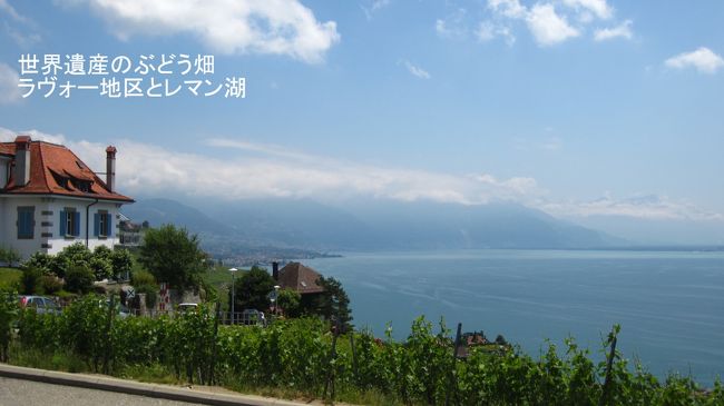 世界遺産にも登録されている「ラヴォーのぶどう畑」を見たいと思い、ローザンヌからヴヴェイヘ。ヴヴェイでオレンジ列車に乗り換え、シェーブルへ。シェーブルからレマン湖畔までぶどう畑を散策しながらラヴォーの丘を下る。