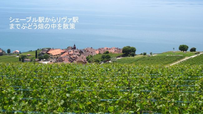 シェーブルの町からぶどう畑の間に作られた道を歩き始めるとレマン湖とぶどう畑が目に飛び込んできた。そして、ぶどう畑と湖の間に美しい村が点々と見える。