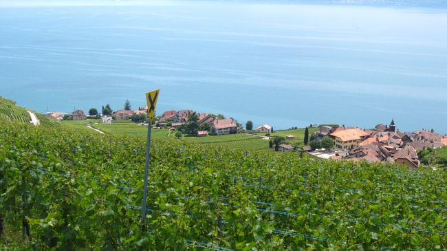 レマン湖の湖面は静かに左右（東西方向）に広がっている。