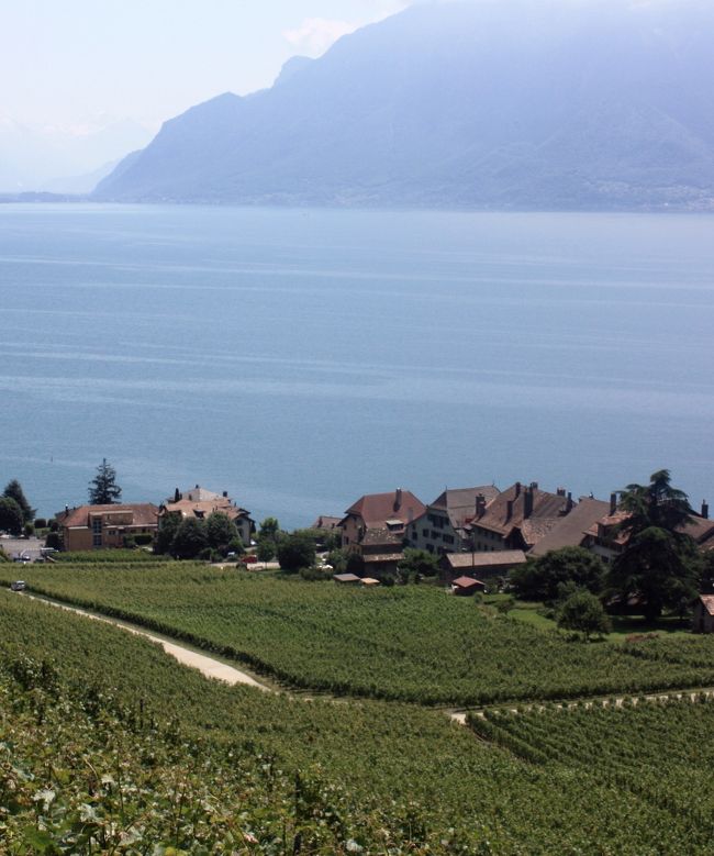 レマン湖畔は晴れてはいたが、湖の上にはうすい靄があり昨年秋スイスのサンモリッツで見たようなすっきりした青色のレマン湖は見れなかった。しかし、湖の先には雲の上にスイスアルプスの山並みを遠望出来た。