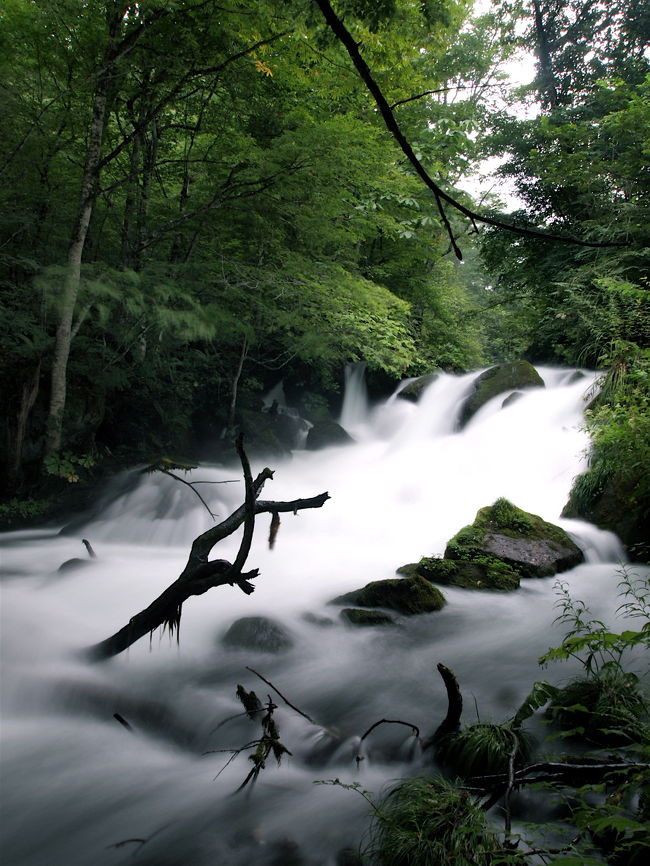 奥入瀬 ひんやり♪奥入瀬渓流』奥入瀬・十和田湖(青森県)の旅行記