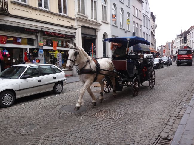 世界遺産 ブルージュ歴史地区の石畳の上を<br />さっそうと駆けていく白馬の馬車です。