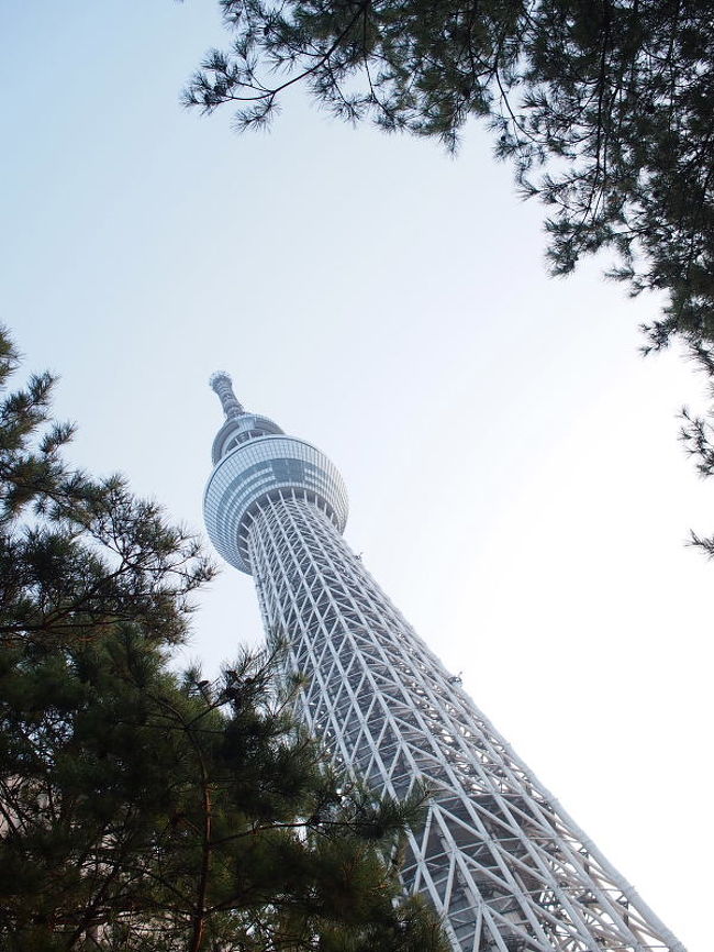 東京ブックマークで行く1泊2日東京観光とディズニーランド 浅草 東京 の旅行記 ブログ By Ru Naさん フォートラベル 東京ブックマークで行く1泊2日東京観光とディズニーランド 浅草 東京 の旅行記 ブログ By Ru Naさん フォートラベル