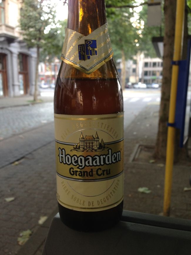 しょうがないので、スーパーでHoegaaden Gran Cruを買って公園で飲みましたが、このビールはやばい！<br />瓶内発酵のストロングビールだったので、飲んだ後はまっすぐ歩けないくらいでした<br />まぁ自分が弱いだけの話なんですが･･･