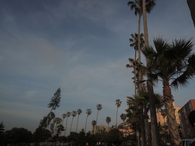 ここは、芝生にもなっていて、何をすることもなく、のんびりすることができます。贅沢な時の使い方。