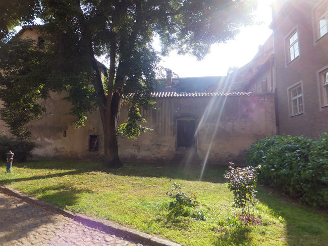 歩いているだけでも楽しい♪<br />(*^▽^)/★*☆♪