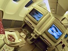 巷では、ＬＡＮ航空の方がしっかりしていますので、早くＴＡＭがＬＡＮ化して欲しいと願っている客が多いとも言われています...。