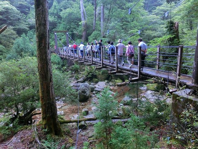 屋久杉の置物大切にしなくっちゃ!!』屋久島(鹿児島県)の旅行記 屋久杉の置物大切にしなくっちゃ!!』屋久島(鹿児島県)の旅行記