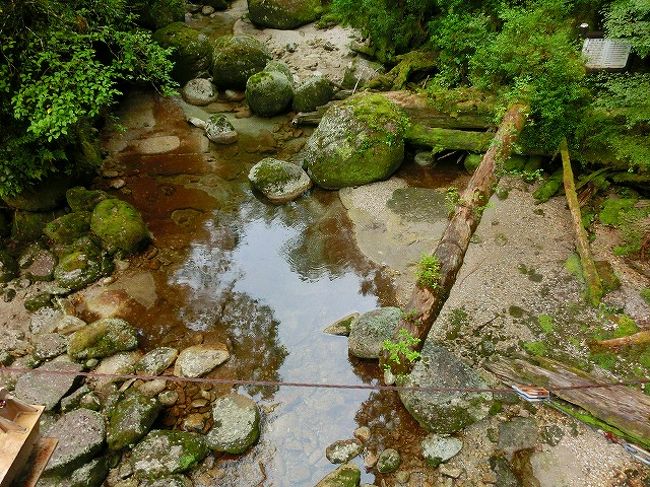 屋久杉の置物大切にしなくっちゃ!!』屋久島(鹿児島県)の旅行記 屋久杉の置物大切にしなくっちゃ!!』屋久島(鹿児島県)の旅行記