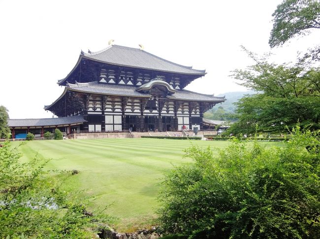 『大仏殿』（金堂）<br /><br />東大寺は国分寺として建立され、<br />国家の安寧と国民の幸福を祈る道場であり、<br />各宗派の学問寺であるとして、学問の神様ともされてますね。<br /><br />