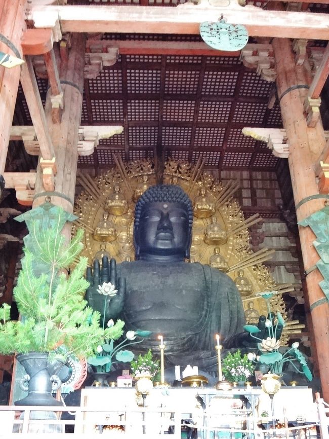 大仏様、おっきいですね〜！<br /><br />聖武天皇により創建された本尊の大仏様は、<br />宇宙の真理を体得された釈迦如来さま。<br /><br />左手で宇宙の智慧を、右手で慈悲を表して、<br />人々が思いやりの心でつながることを願っておられるといいます。<br /><br />