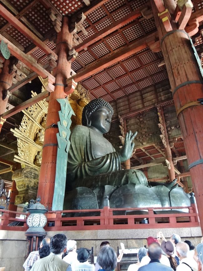 天井の格子一つが四畳半ということ。