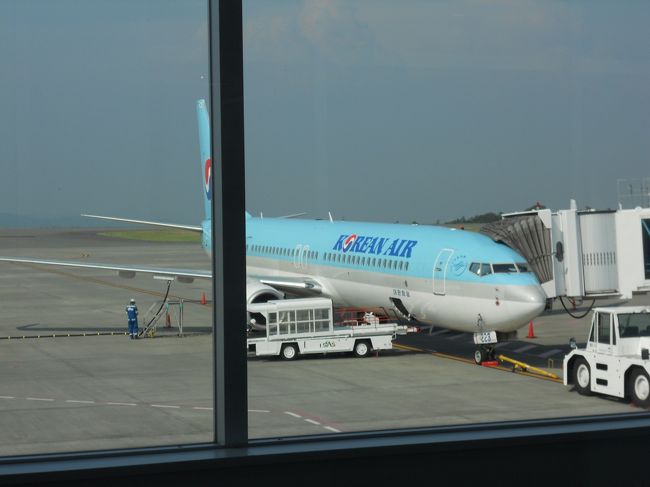 今回は地元静岡からの便。<br />近場ということで非常に便利でした。<br />只、待合室にこれといった時間つぶしがなく、座る席も少ないため、<br />快適とは言えず、、。<br />ただただ、近いだけ。<br />でも、これが一番でした。