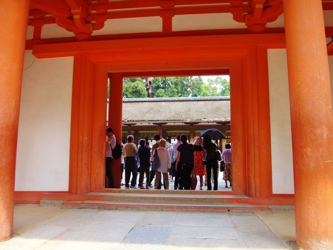 「南門」をくぐり、本宮に入ります。