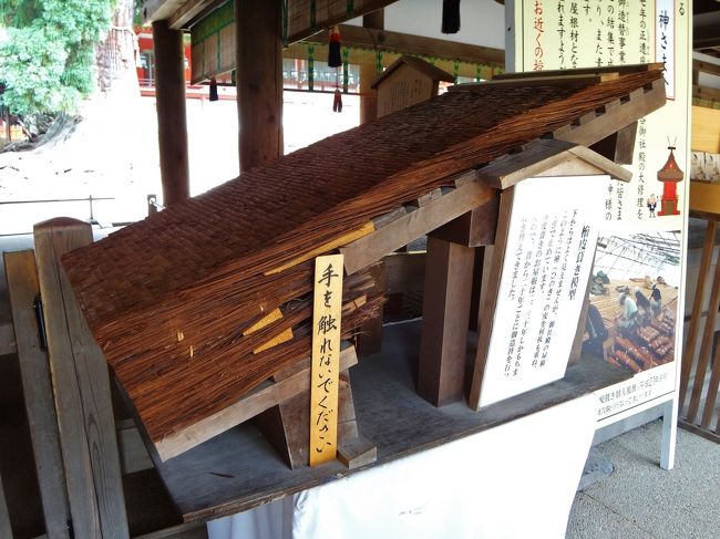これが桧皮(ﾋﾜﾀﾞ)葺き屋根の断面