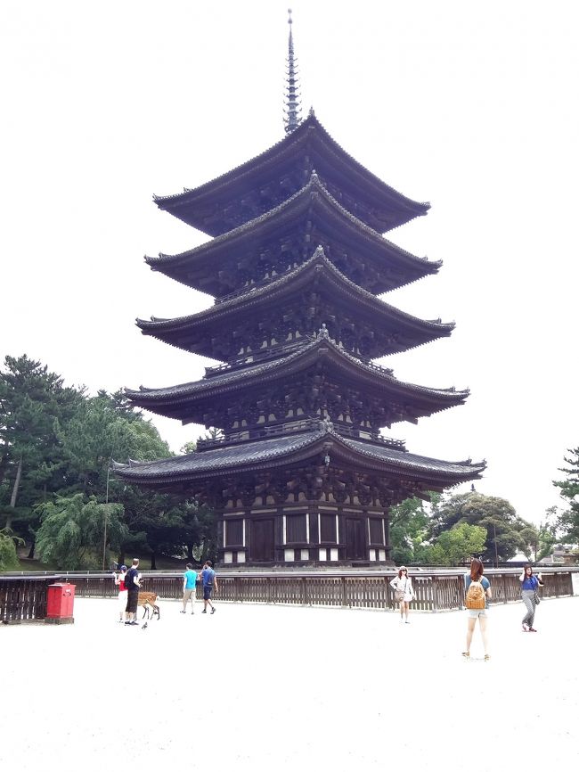 三番目に『興福寺』<br /><br />694年、日本の初めての首都「藤原京」が確立。<br />710年、この飛鳥藤原京からの平城遷都により、<br />　　　 現在の場所に造営されたという。<br />