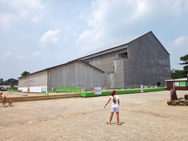 中心となる『中金堂』は1717年の大火で焼失、現在再建中。<br />平成30年には「天平の文化の再現」がかなうという。<br />楽しみです。