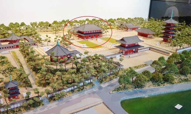 ｢復興計画の全体模型」<br />興福寺草創期の、天平伽藍(ｶﾞﾗﾝ)全体を復興させたいという。<br />赤マル内が中金堂。<br /><br />五年後の完成が楽しみですね。