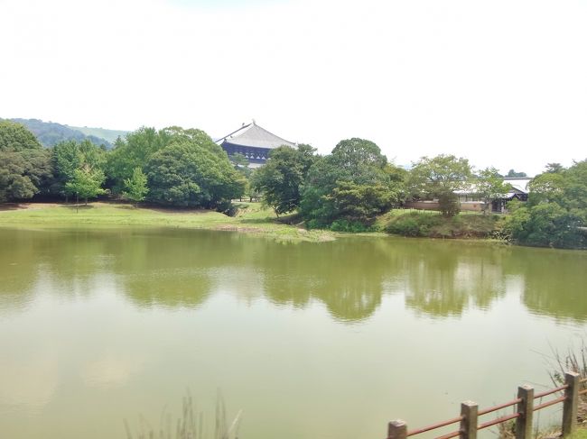 主要な３寺社巡りを終え、<br />｢大仏池」越しに東大寺の大仏殿を見ながら、<br />｢若草山と春日山」のドライブウェイに向かいます。