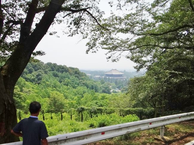 ここから見る『大仏殿』、風景に溶け込んでます。
