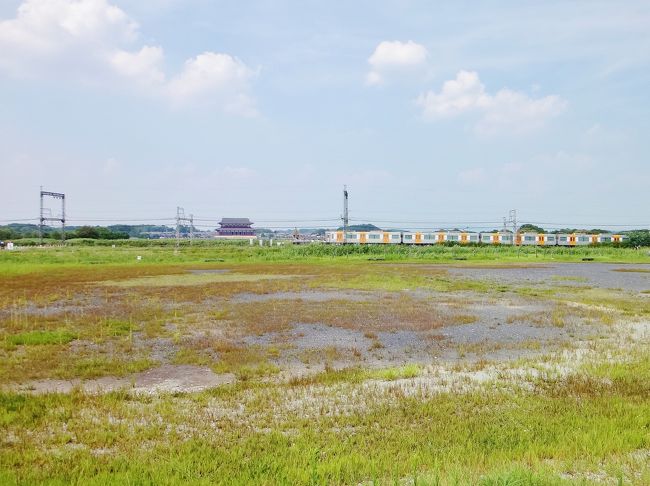 広大に広がる平城宮跡が見渡せます。<br />