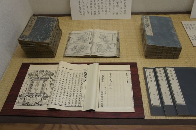 角館・秋田竿灯から肘折温泉経由で山形花笠踊りまで(一日目前半)~角館の武家屋敷は、佐竹北家が育んだ町。東北の名門、蘆名氏断絶の地でもあります~