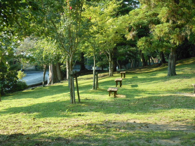 二つ目のベンチで「爆睡」でした