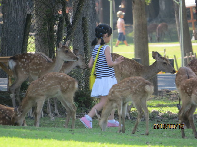 鹿に追われる「少女」