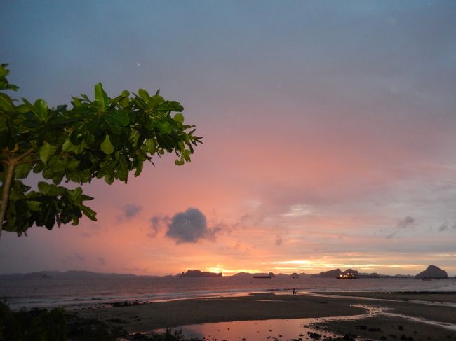 この日は夕陽がキレイに見えた。<br /><br />