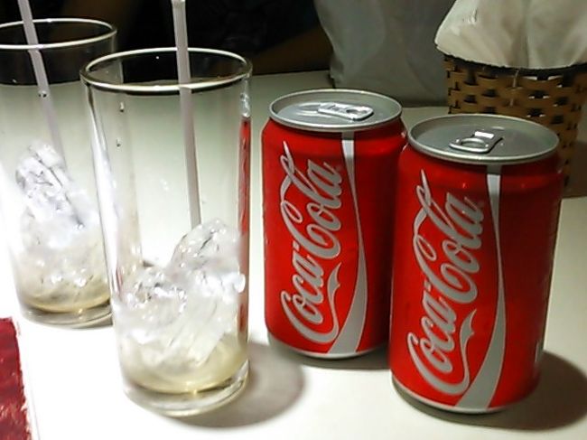 子供達は機内でたっぷり飲み食いし何もいらないとのことで私とだんなさんはコーラーをいただきました〜<br /><br />