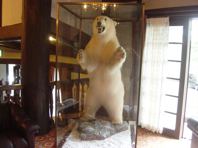 施設の食堂脇にある白クマの剥製、人間よりかなり大きい