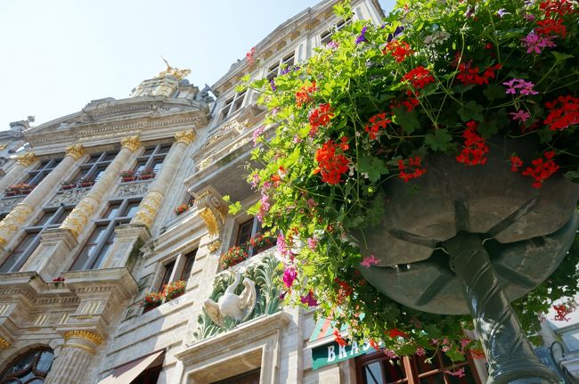 花かご多いですよねヨーロッパ。<br />好きです。