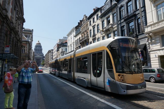 トラムが走ってます。