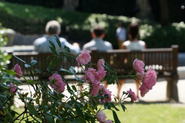 こういう公園とかが<br />たくさんあるのっていいな〜って思います。<br />