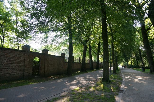 木漏れ日の中を歩きました。