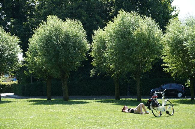 のんびり。いいなぁ。