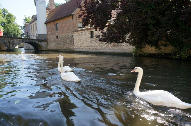 風を切って、いい景色が見れて<br />気持ちよかったです。<br /><br />クルーズはおすすめ。