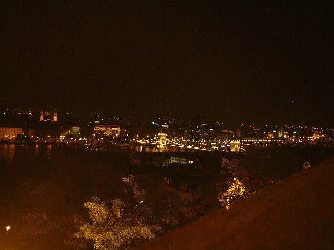 夜のドナウ川２。