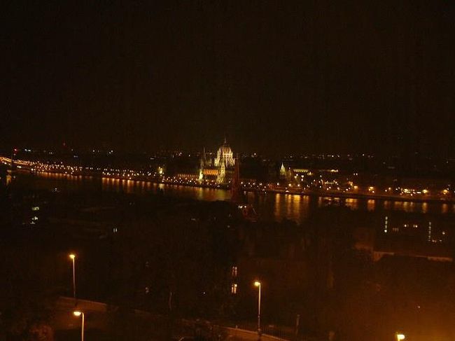 夜のドナウ川。