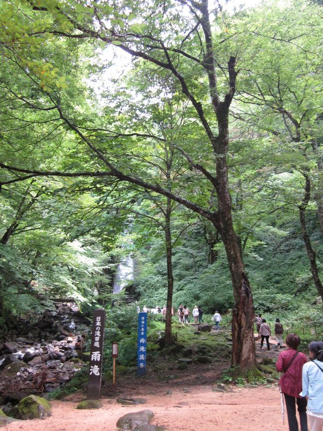 転ばないようゆっくり１０分ほどで滝が見えてきました。