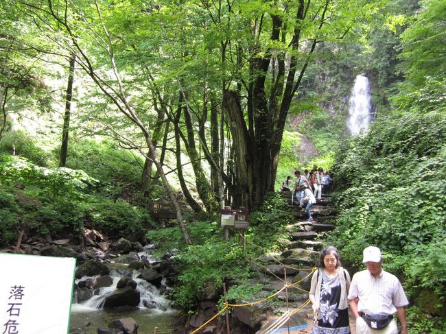 登ったら降りなきゃならない・・<br />足元が悪くて大変です。<br />