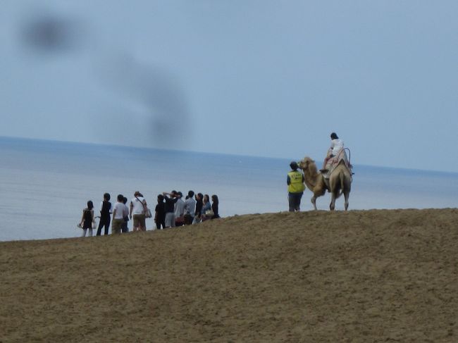昼食は鳥取砂丘のレストランで食べ放題。<br /><br />海鮮丼を作ったりお肉を焼いたりしてお腹いっぱいの後は砂丘散策
