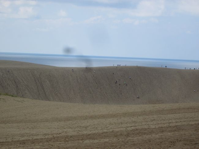 雨上がりで砂はしっとりしてますが砂丘を歩くのは懲りてるのであっさりあきらめ写真だけ取ります。