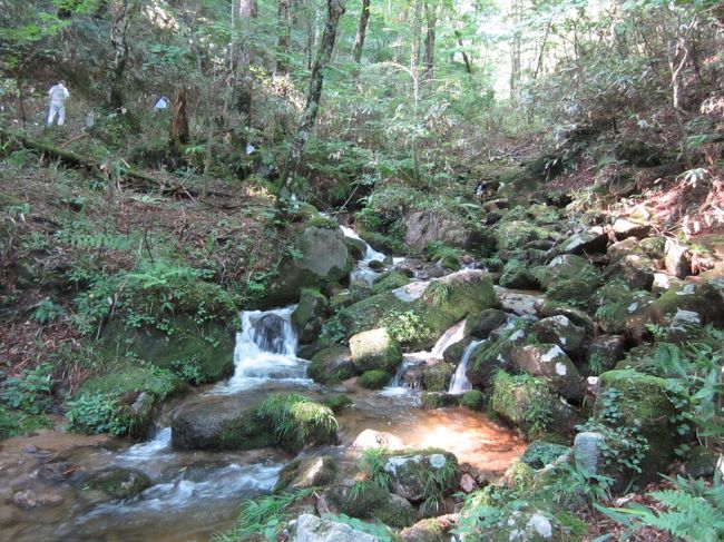 深呼吸しながら自由に散策