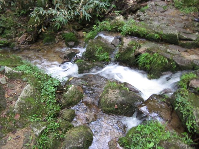 せせらぎも水量が多くて渓谷状態<br /><br />水はとても冷たいです。