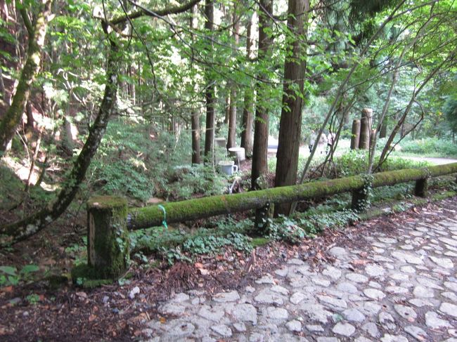 苔むした木の橋の欄干もいい感じ<br /><br />トトロがいそうな気配がします