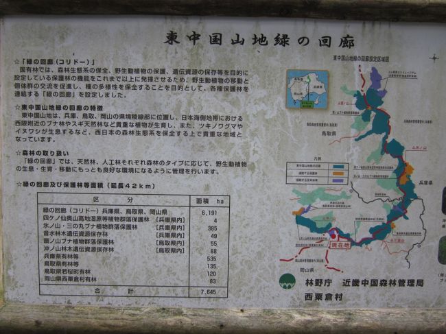 説明<br /><br />広範囲なので約４０分ではそんなに歩けません。<br />自由に歩いてキリのいいところで折り返してきました。