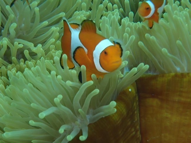 ちょっと怒ってる？？<br />こっち来るなよ！！ってね。